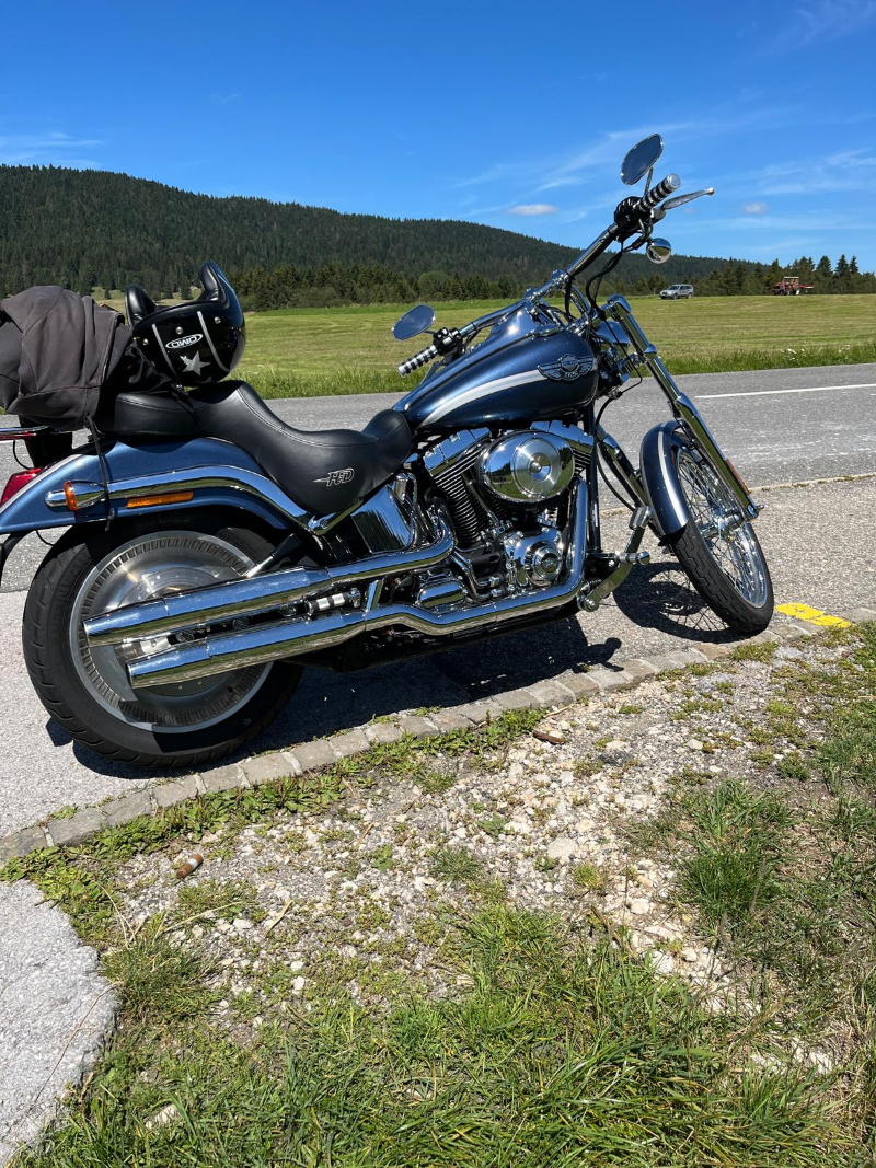 Harley-Davidson Softail Standard 2003 - Occasion