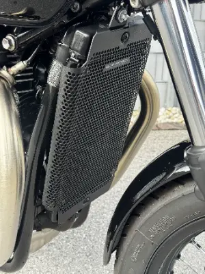 TRIUMPH Bonneville 900 T100 (35kW) - 9